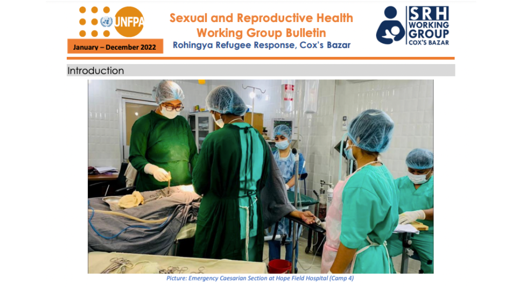 Sexual and Reproductive Health Working Group Annual Bulletin (January - December 2022)