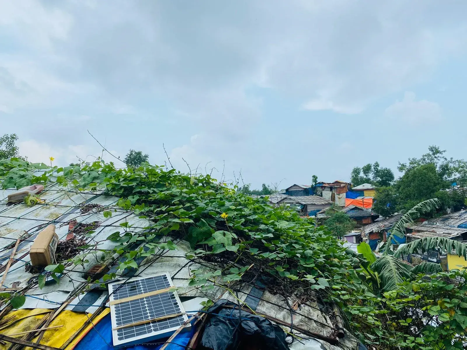 Transforming education for adolescents and youth in the Rohingya camps, one micro-garden at a time